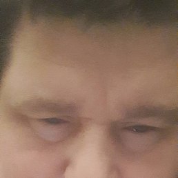 ���������, ��������, 41 ���