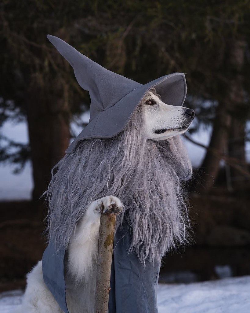 ��� ������ ����� ������ ������� � ����! - 2