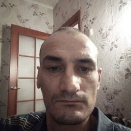 , 41, 