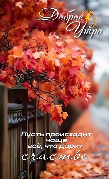   ,    . - 26  2024  20:09
