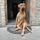 ���� ���, ����� - ��������� 28 ������ 2025 � ������ ������ ��������