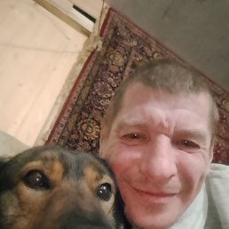 ���� ������, �����-���������, 48 ��� - ��������� 3 ������� 2026