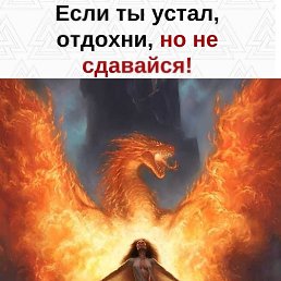 ���� ������, ������� - ��������� 16 ������� 2024