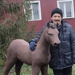 ���� ����, ���, 65 ��� - ��������� 29 ������ 2026