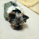 ���� Alex, �����������, 40 ��� - ��������� 16 ������� 2023 � ������ ���� ����������