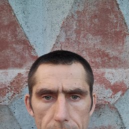 , 39, 