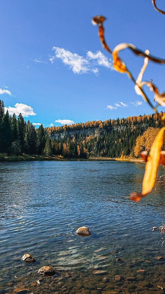 cce co.app eco  eoceo pac.o poe o po eca, a opo, ...