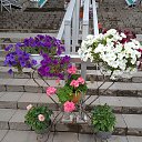 ���� ���������, ����� - ��������� 21 �������� 2025 � ������ ������ ������, �� ����������