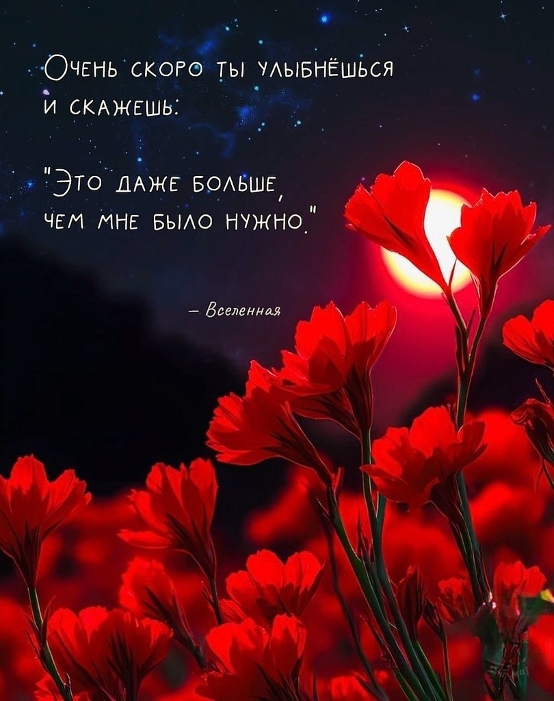 ������ | Wisdom & Beauty - 18 �������� 2025 � 17:55 - 2