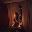 ���� ��������, �����-���������, 62 ���� - ��������� 28 ������� 2025 � ������ ���� ����������