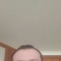 , 41 , 