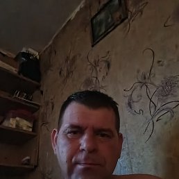 ������� ��������, 38 ���, ������