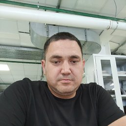 , 33, -