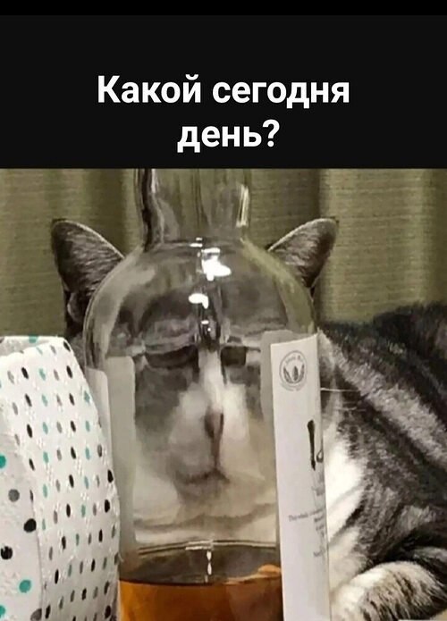   ! - 8  2024  18:47