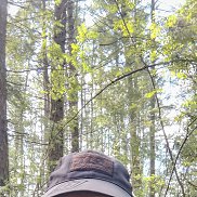 ���� ������, 49 ���, ������-��-����