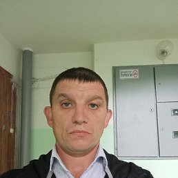 , 40, 
