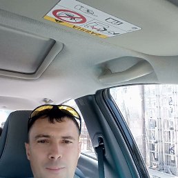 , 41, 