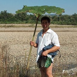 ������, ������, 60 ���