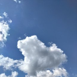 ���� ������� ��������, ������, 38 ��� - ��������� 24 �������� 2025