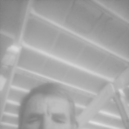 , 42, 