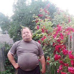  , 52, 