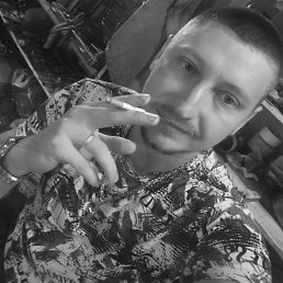 ���� Shook, �������, 30 ��� - ��������� 27 ������� 2025