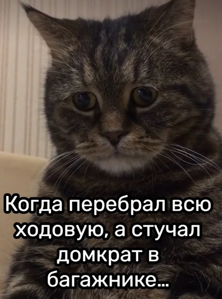  - 22  2025  12:07