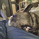 ���� ������, ��������, 55 ��� - ��������� 1 ������ 2025