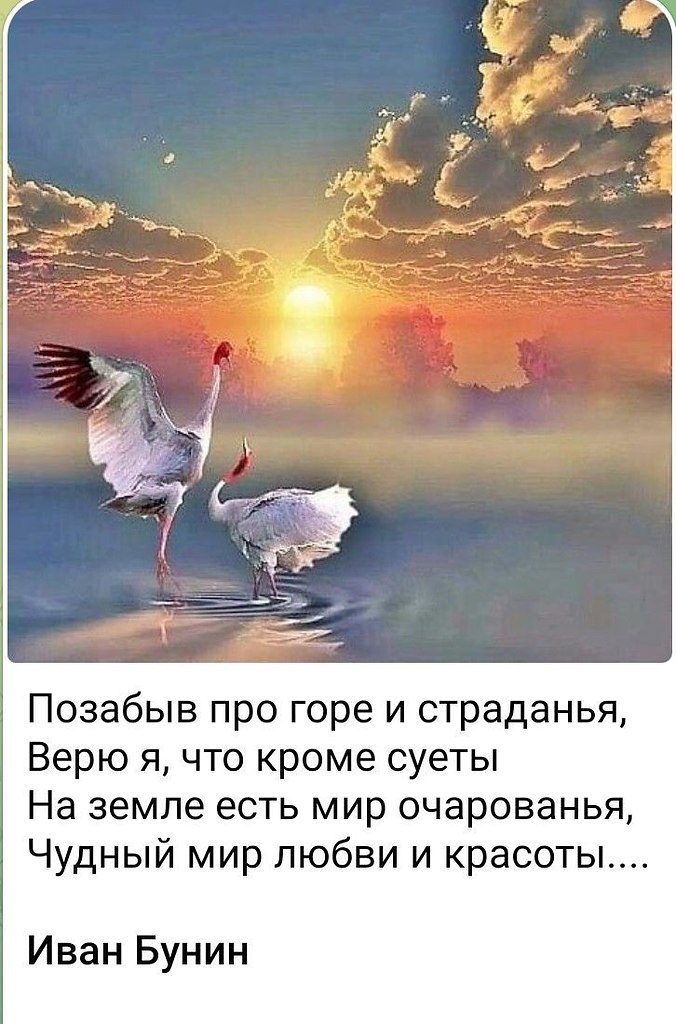   - 11  2025  06:00