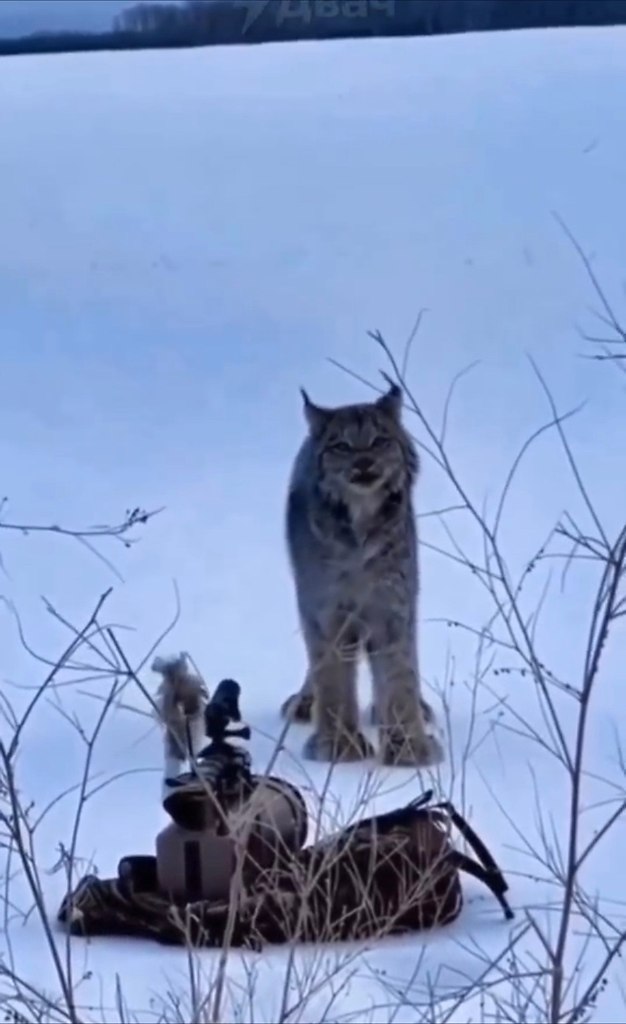 ce o oao: oopa a, o c  oa paoae o e p, o  c ... - 2