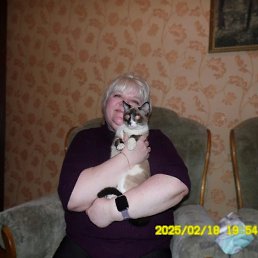 , 52, 