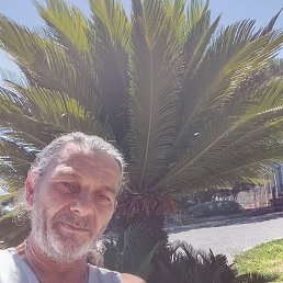 , 59, 