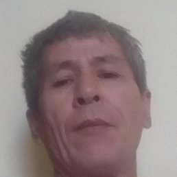 ������� ���������, �������, 64 ����