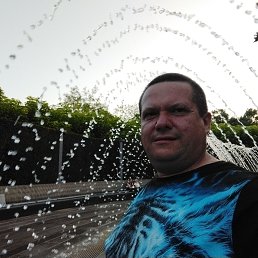 ��������, 44 ����, ������-���