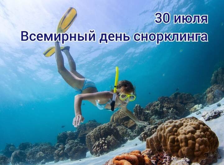 : , , ,  - 7