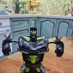 ������, �����-���������, 43 ����