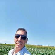 , 55 , 