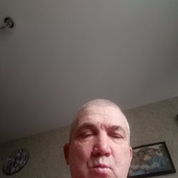 , 55, 