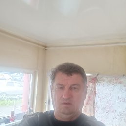 , 54, 