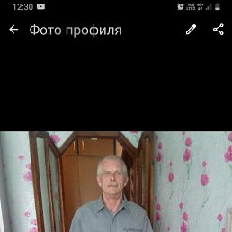 , 61, 
