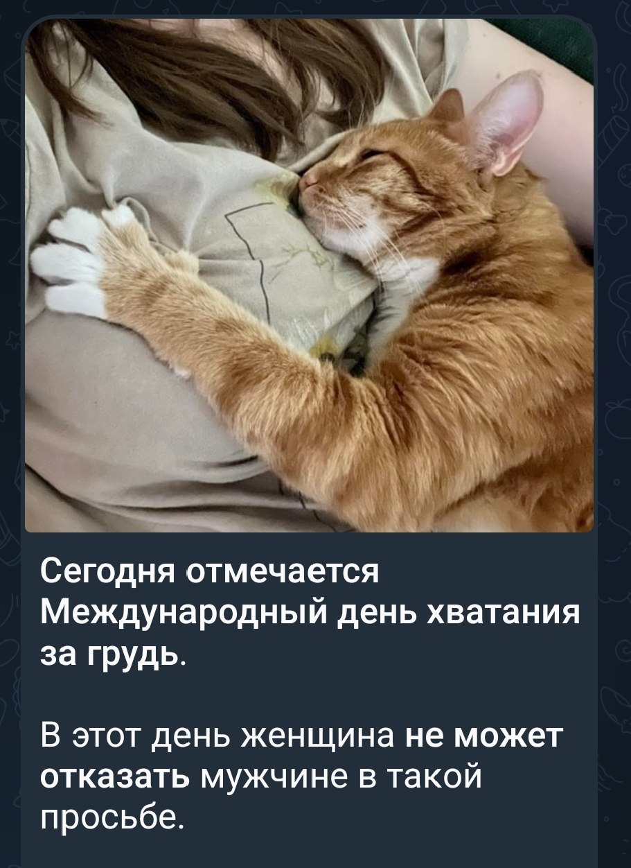 Oleg G - 3 ��� 2026 � 13:23