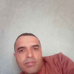 , 46, 