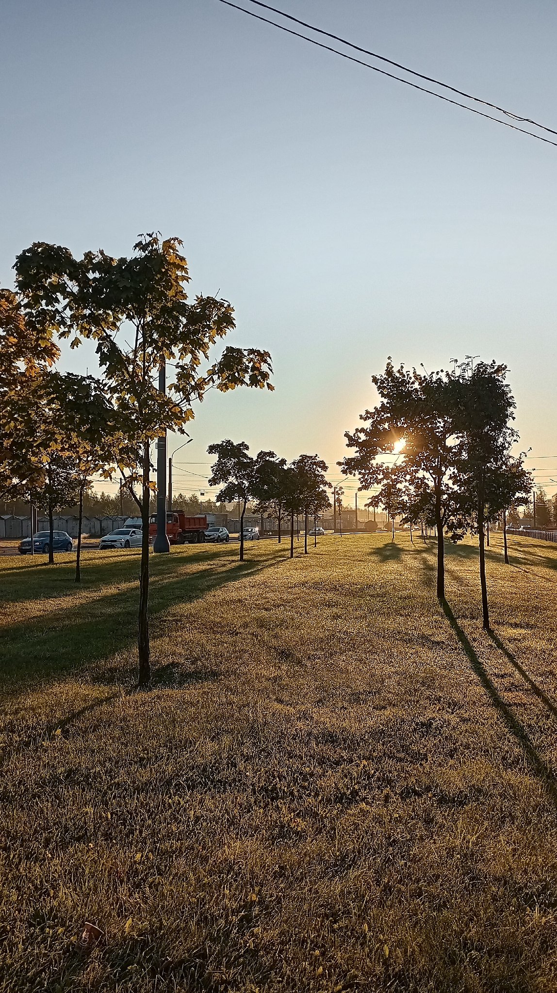   - 29  2025  11:02