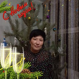 , 37, 