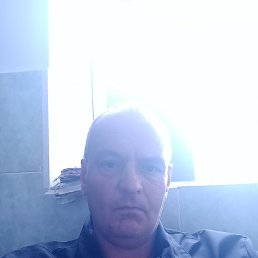 , 48, -