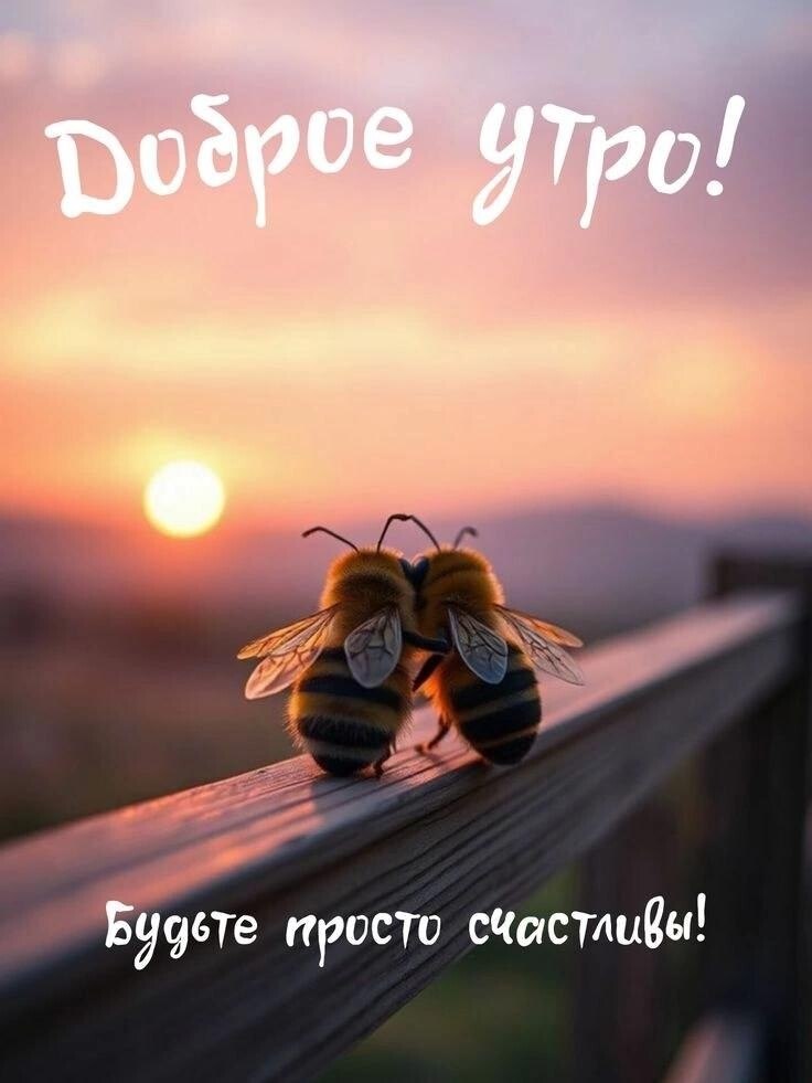 ***Victoria Viktorovna*** - 6  2025  01:00