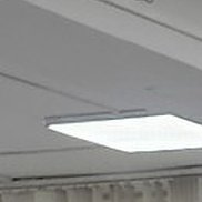 ������, 46 ���, ���������