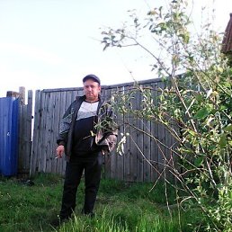 ���, 41 ���, �����������