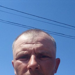 , 40, 