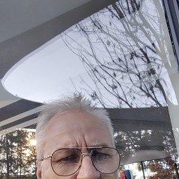 �������, 62 ����, �������